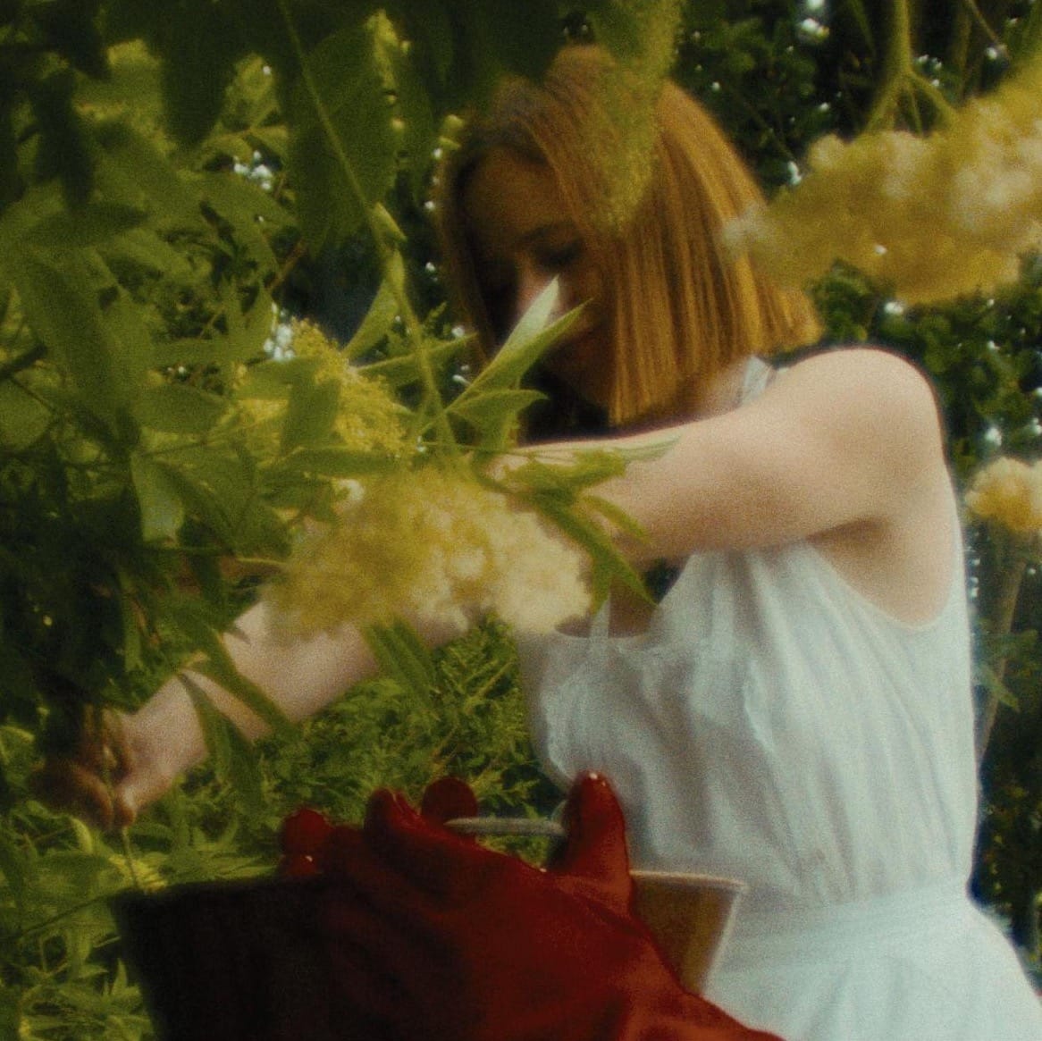 l'intimité musicale de lucie coudurier.