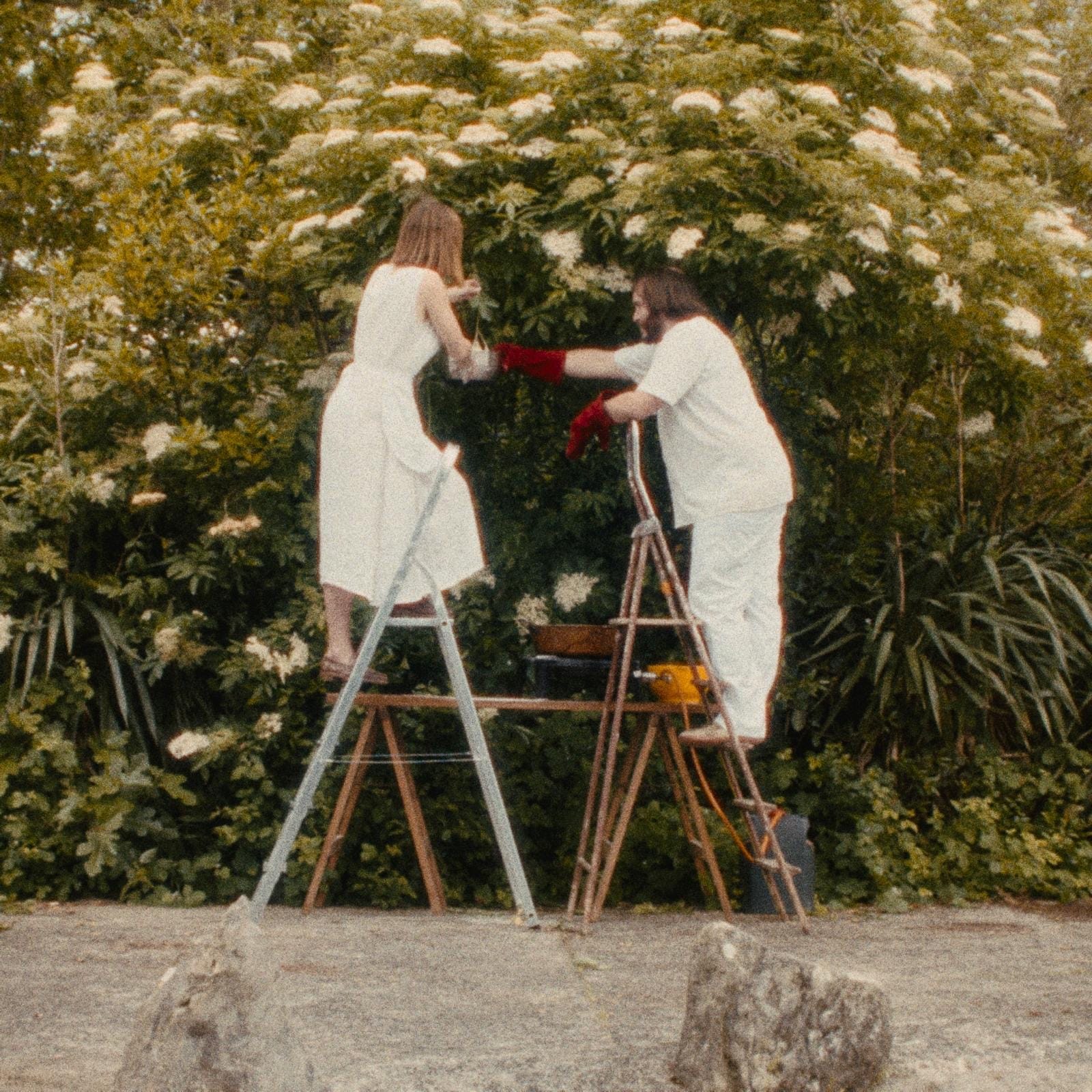 l'intimité musicale de lucie coudurier.